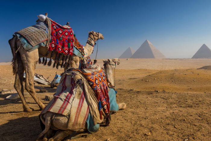 KMT111 Horse / Camel Ride around the Pyramids